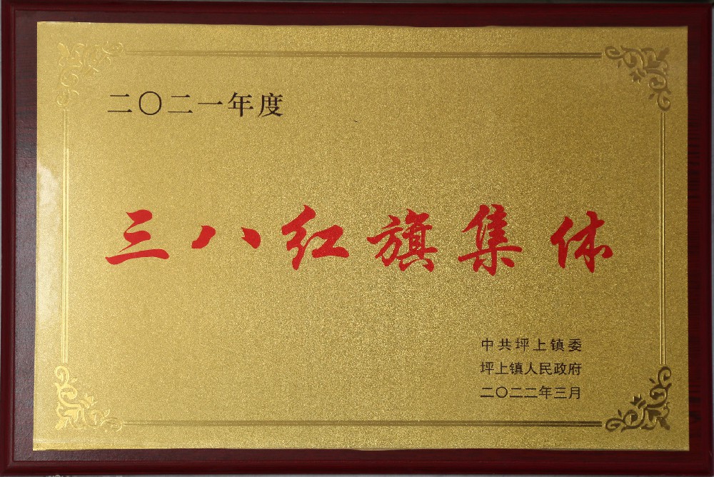 三八红旗集体